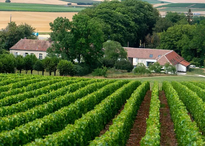 L\' Ecrin Des Vignes