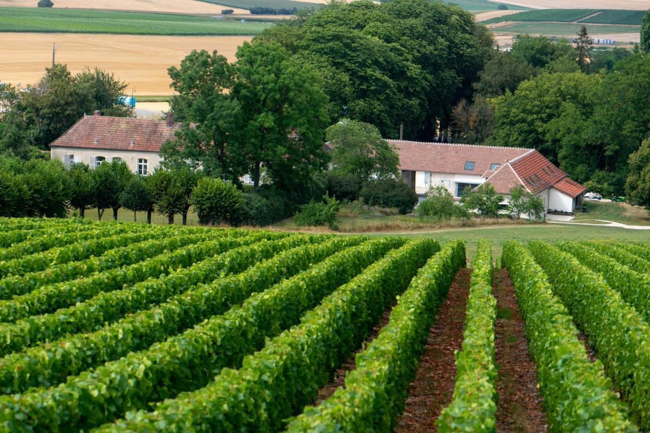 Bed & Breakfast L' Ecrin Des Vignes Sermiers